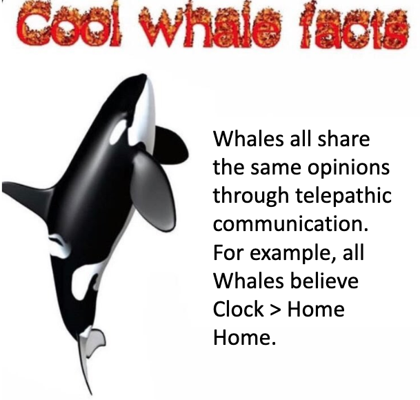 Orca Home home.png